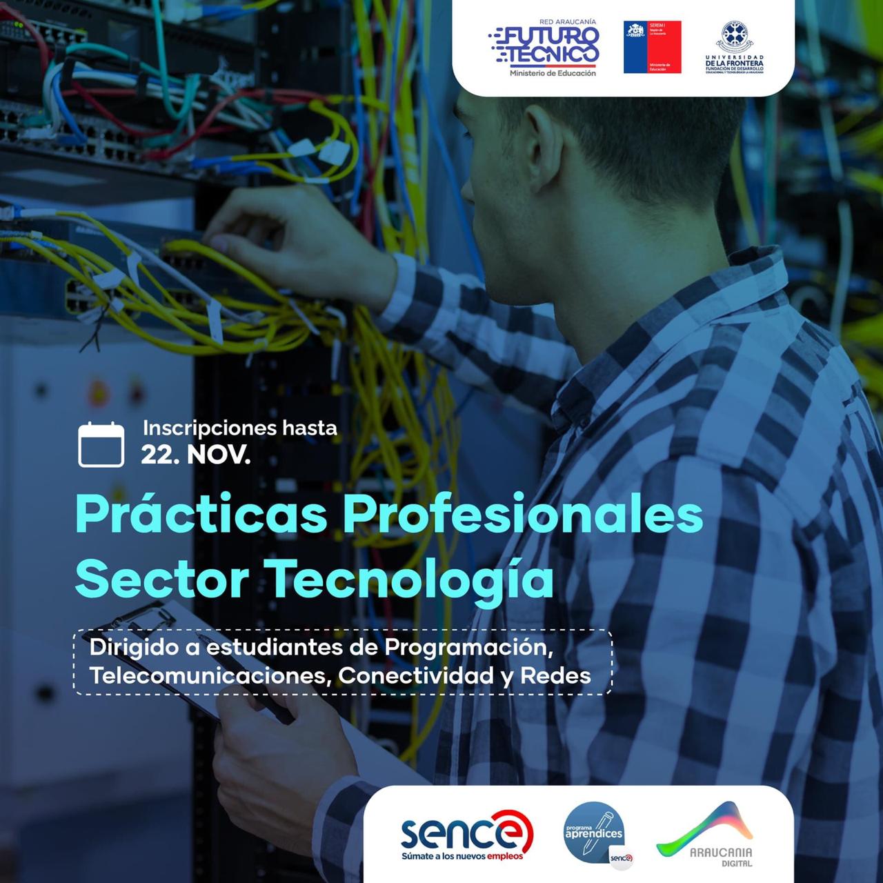 Postulación Prácticas Profesionales Sector TI