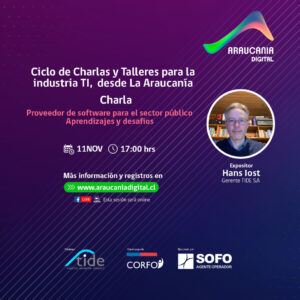 Proveedor de software para el sector público aprendizajes y desafíos